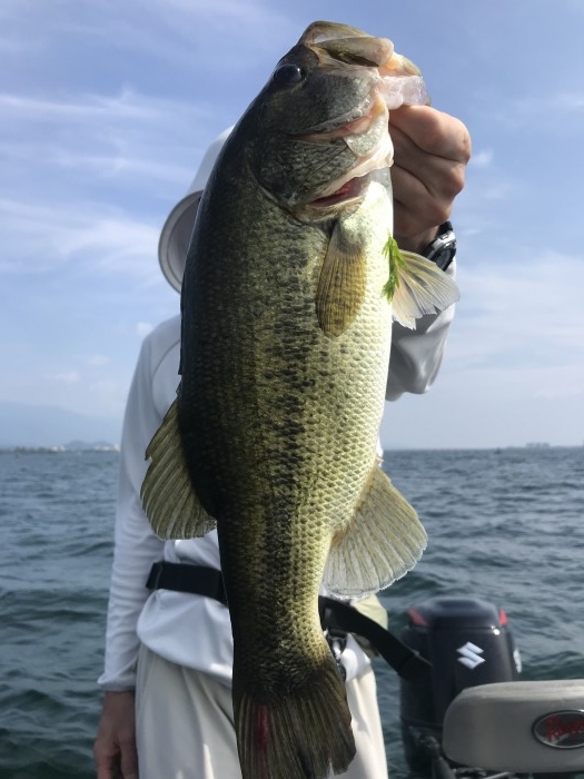 truth  ブログ写真 2020/08/09