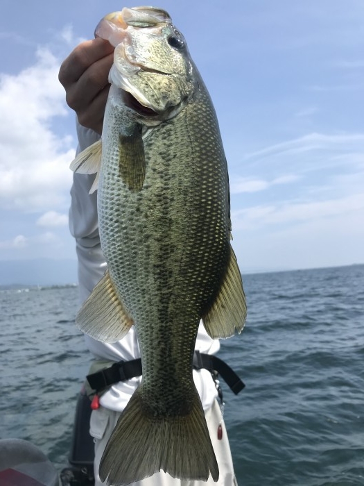 truth  ブログ写真 2020/08/09