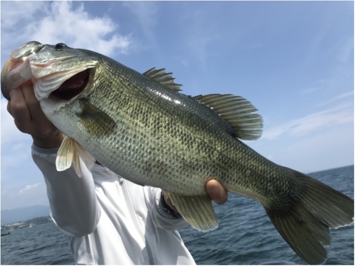 truth  ブログ写真 2020/08/09