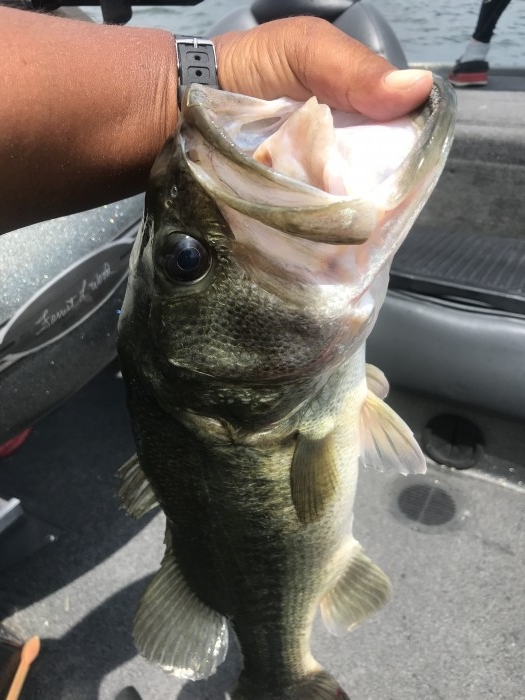 truth  ブログ写真 2020/08/09