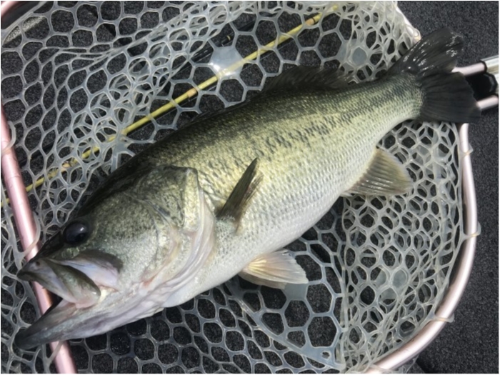 truth  ブログ写真 2020/08/09