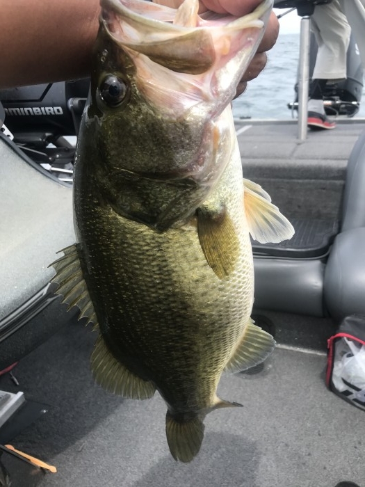 truth  ブログ写真 2020/08/09