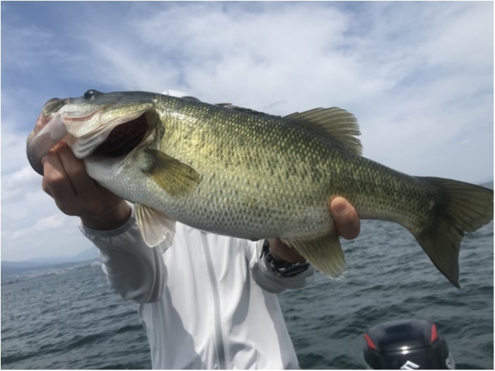 truth  ブログ写真 2020/08/09