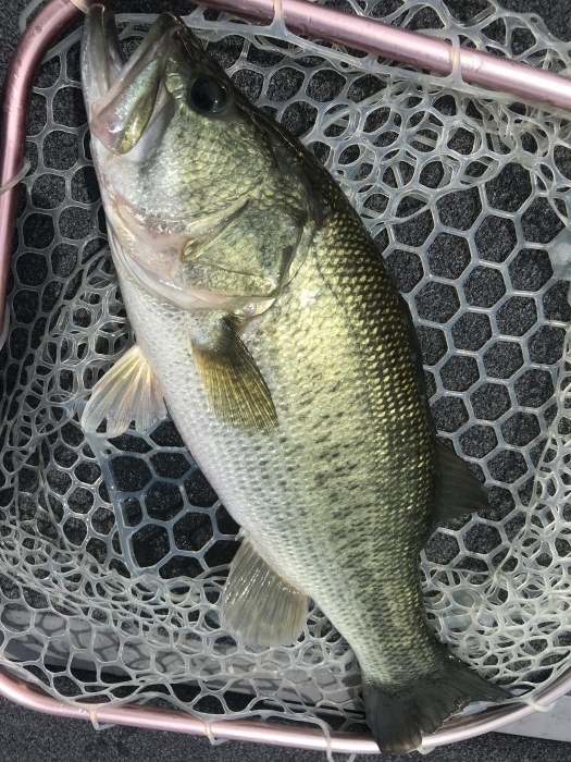 truth  ブログ写真 2020/08/09