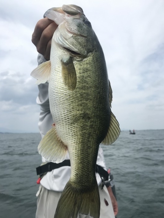 truth  ブログ写真 2020/08/09