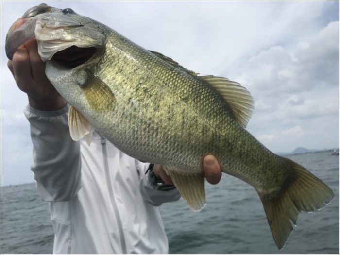 truth  ブログ写真 2020/08/09