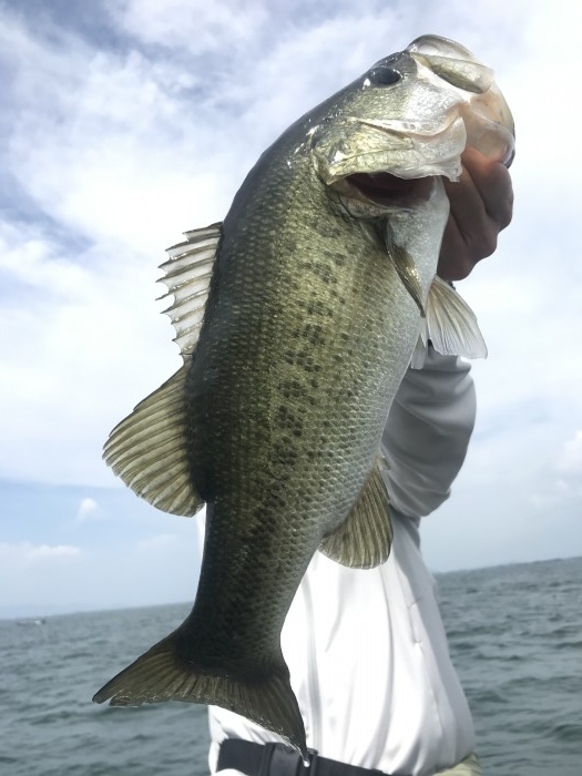 truth  ブログ写真 2020/08/09