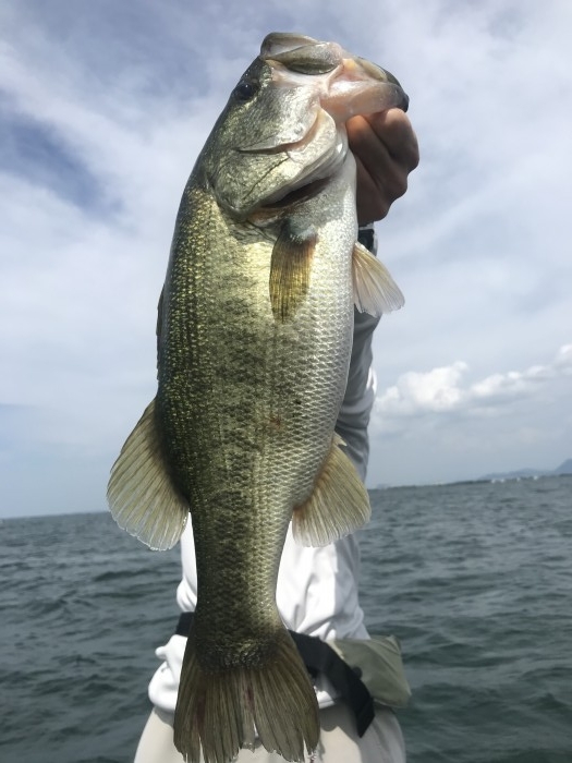 truth  ブログ写真 2020/08/09