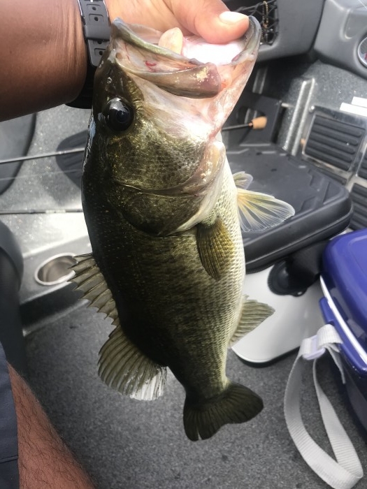 truth  ブログ写真 2020/08/10