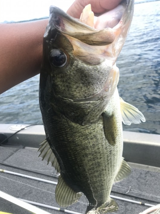 truth  ブログ写真 2020/08/10