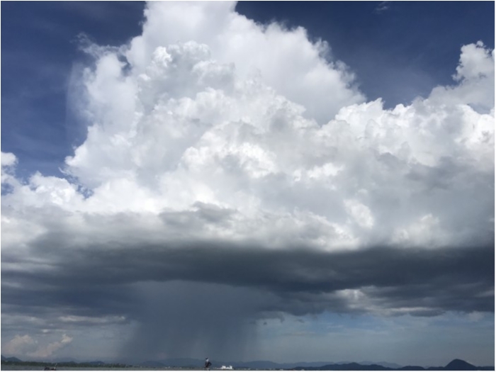 truth  ブログ写真 2020/08/10