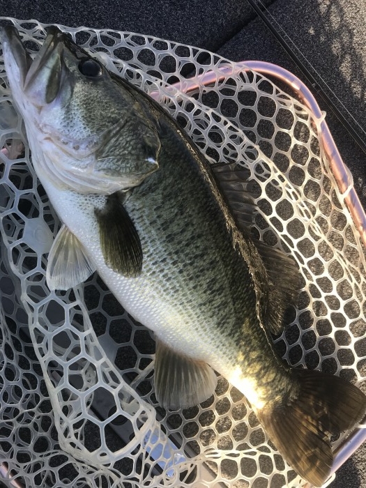 truth  ブログ写真 2020/08/10