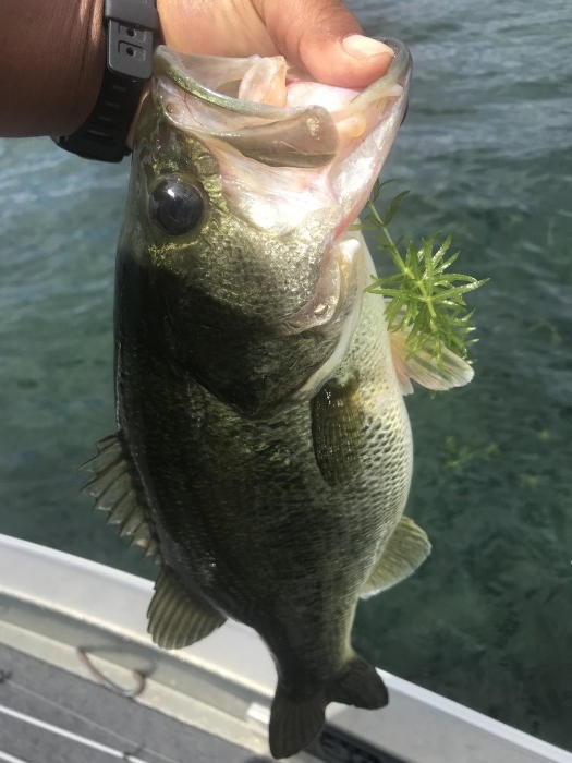 truth  ブログ写真 2020/08/11