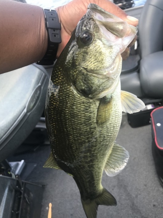 truth  ブログ写真 2020/08/11