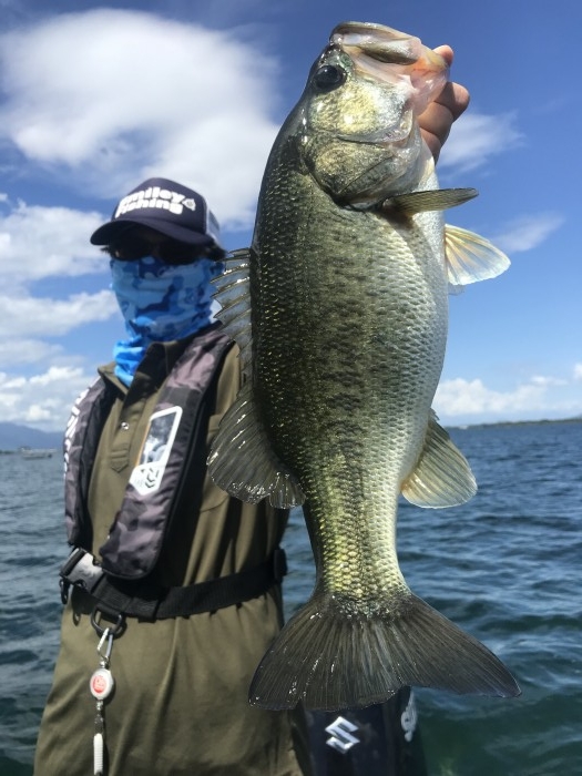 truth  ブログ写真 2020/08/11