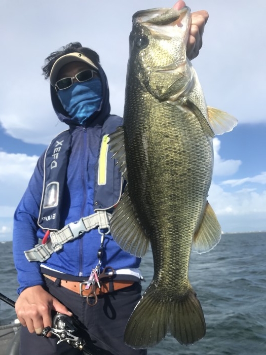 truth  ブログ写真 2020/08/11