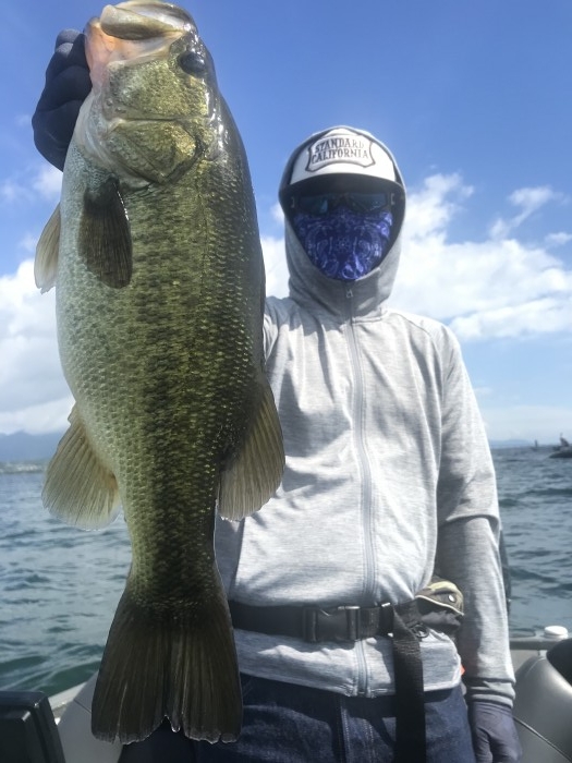 truth  ブログ写真 2020/08/12