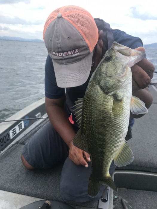 truth  ブログ写真 2020/08/12