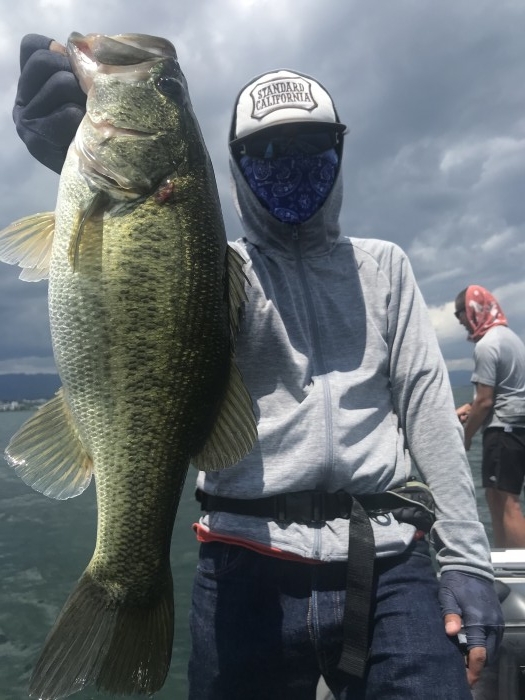 truth  ブログ写真 2020/08/12