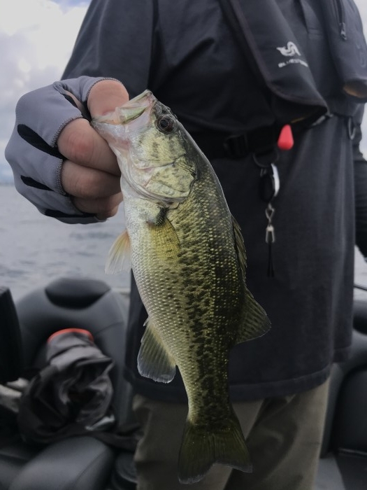 truth  ブログ写真 2020/08/13