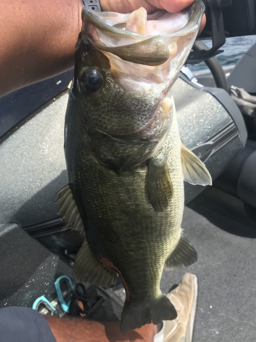 truth  ブログ写真 2020/08/13