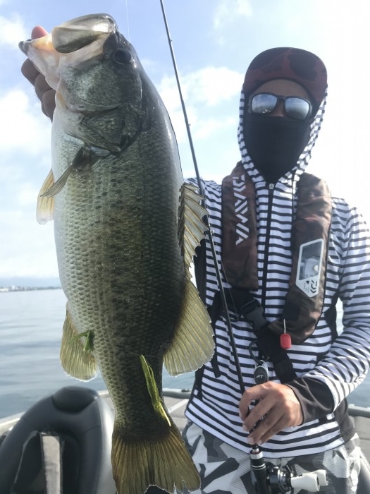 truth  ブログ写真 2020/08/14