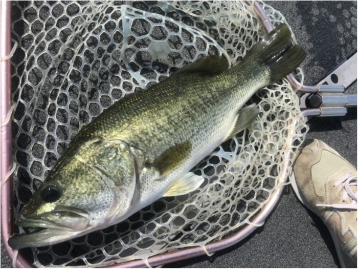 truth  ブログ写真 2020/08/14