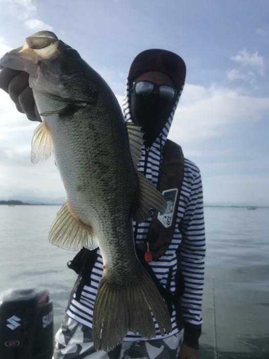 truth  ブログ写真 2020/08/14