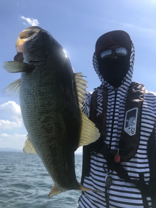 truth  ブログ写真 2020/08/14