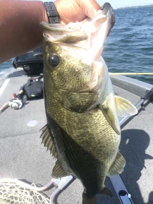 truth  ブログ写真 2020/08/14