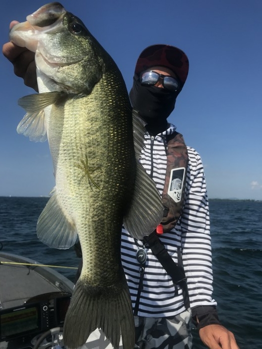 truth  ブログ写真 2020/08/14