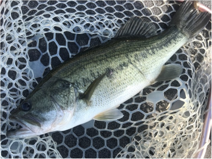 truth  ブログ写真 2020/08/14