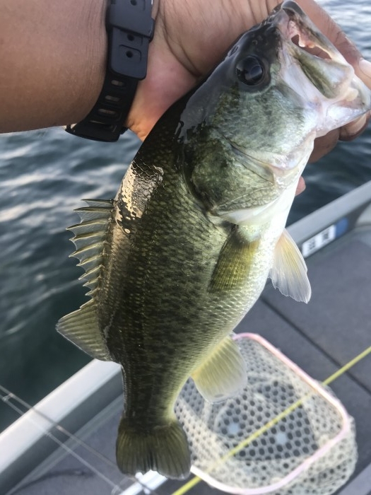 truth  ブログ写真 2020/08/14