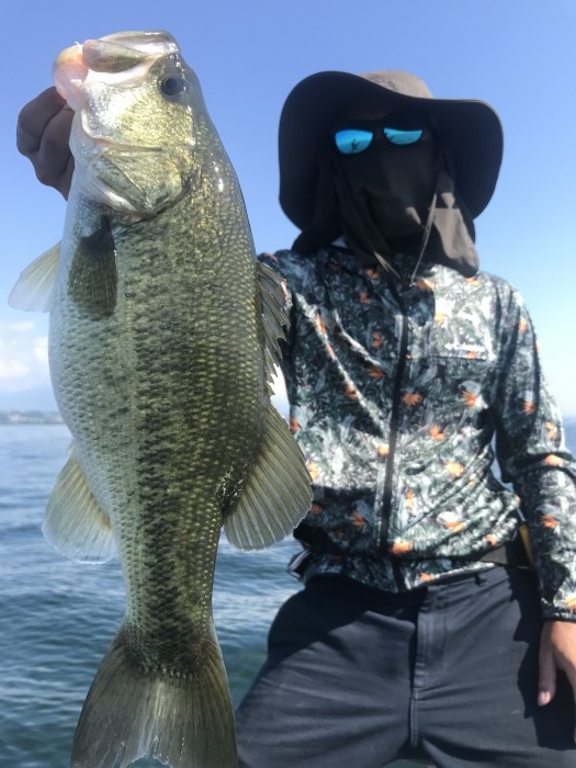 truth  ブログ写真 2020/08/15