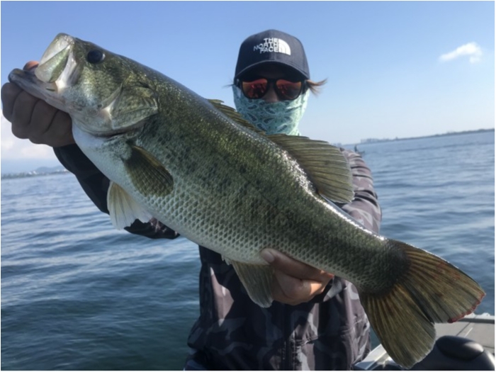 truth  ブログ写真 2020/08/15