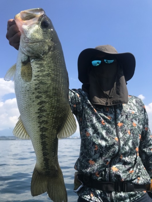 truth  ブログ写真 2020/08/15