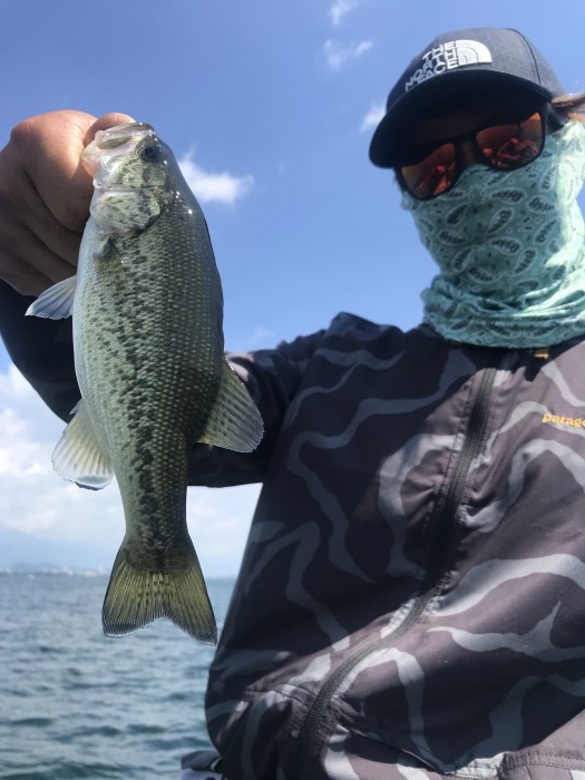 truth  ブログ写真 2020/08/15