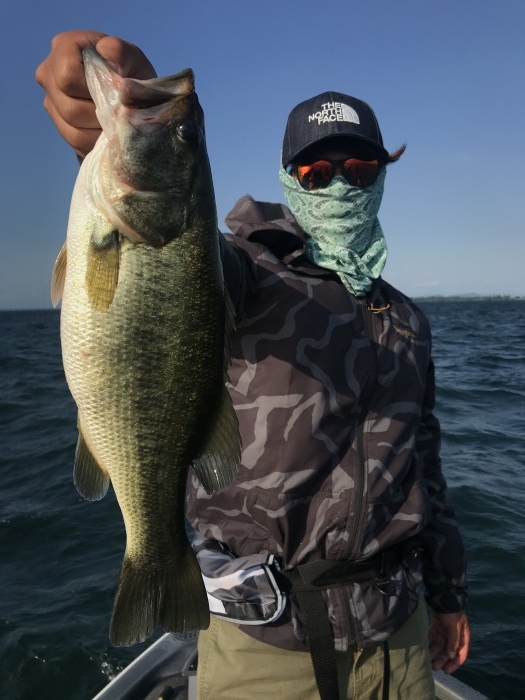 truth  ブログ写真 2020/08/15