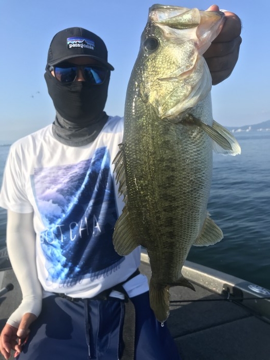 truth  ブログ写真 2020/08/16