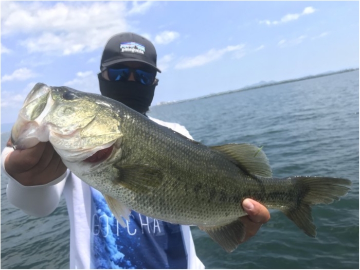 truth  ブログ写真 2020/08/16