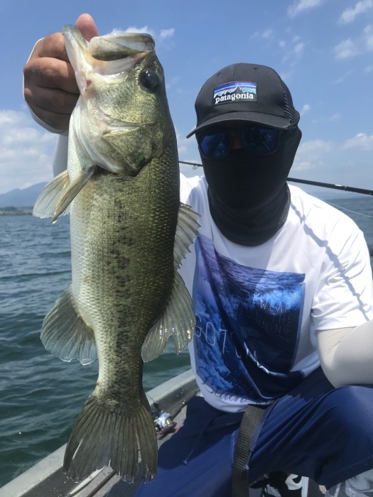 truth  ブログ写真 2020/08/16