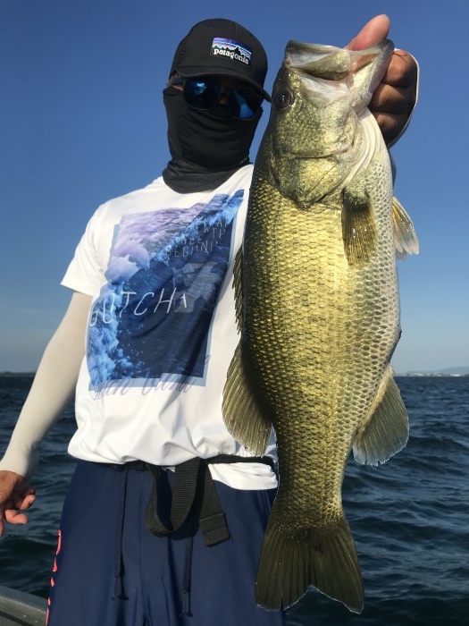 truth  ブログ写真 2020/08/16