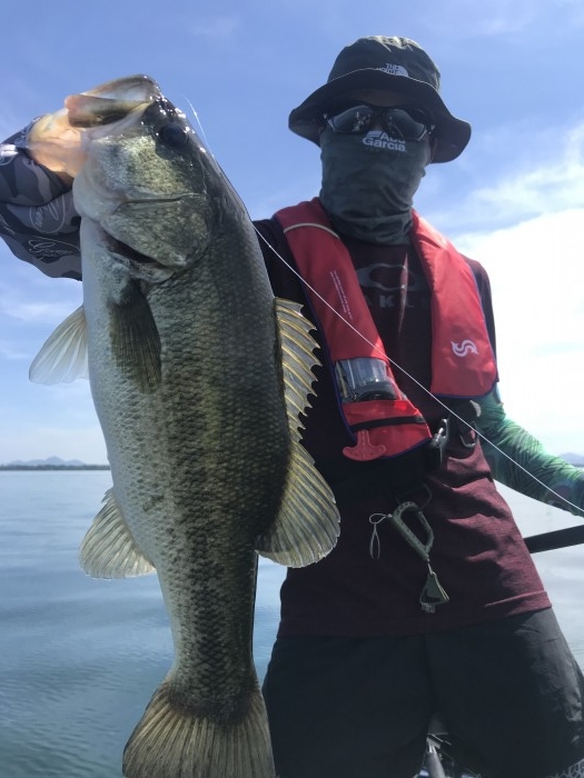 truth  ブログ写真 2020/08/17