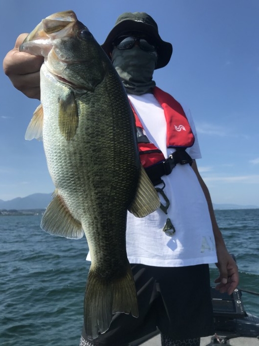 truth  ブログ写真 2020/08/17