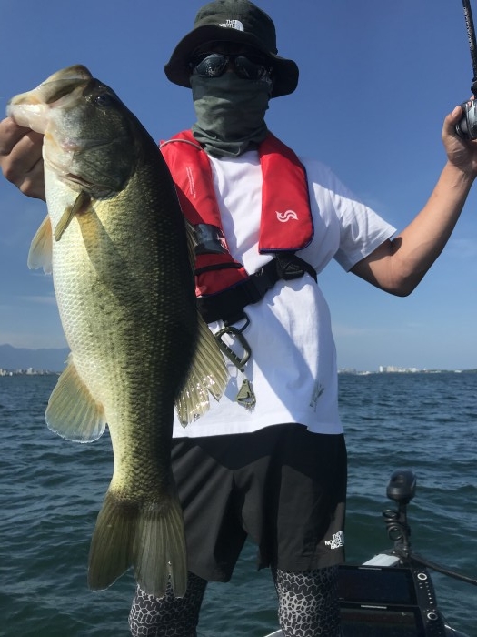 truth  ブログ写真 2020/08/17