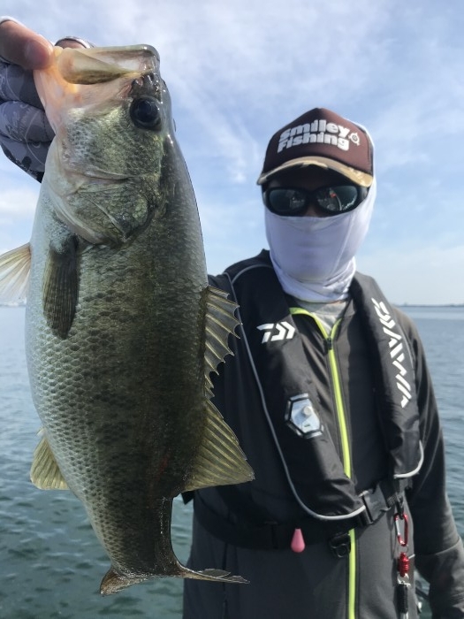 truth  ブログ写真 2020/08/18