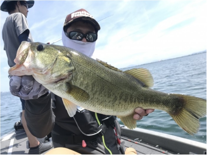 truth  ブログ写真 2020/08/18