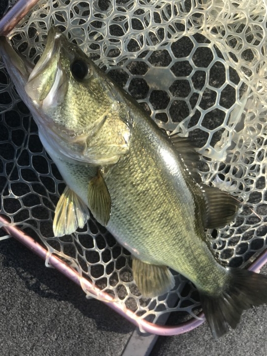 truth  ブログ写真 2020/08/19