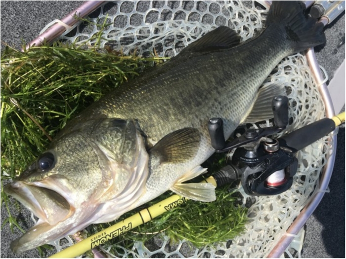 truth  ブログ写真 2020/08/19