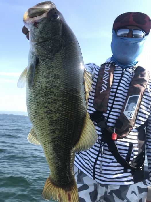 truth  ブログ写真 2020/08/19